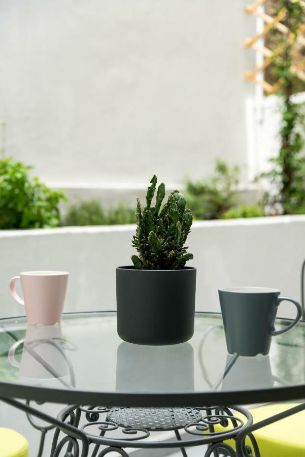 Central Cozy Studio With A Secret Garden Atény Exteriér fotografie
